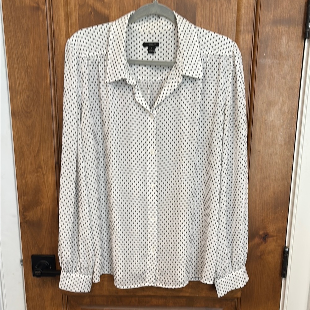 Ann Taylor polka dot blouse